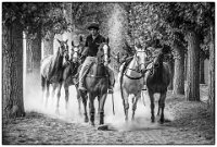 521 - DEAUVILLE 03 B-W - TEN TUSSCHER ROB - netherlands <div